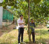 Ngân hàng Chính sách xã hội huyện Đồng Phú thực hiện các Chương trình tín dụng chính sách theo Nghị quyết số 11