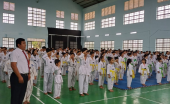 Hi88 Net
 281 võ sinh môn Taekwondo tham dự kỳ thi thăng cấp