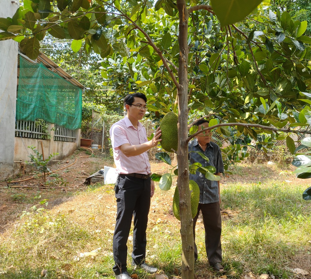 Ngân hàng Chính sách xã hội huyện Đồng Phú thực hiện các Chương trình tín dụng chính sách theo Nghị quyết số 11