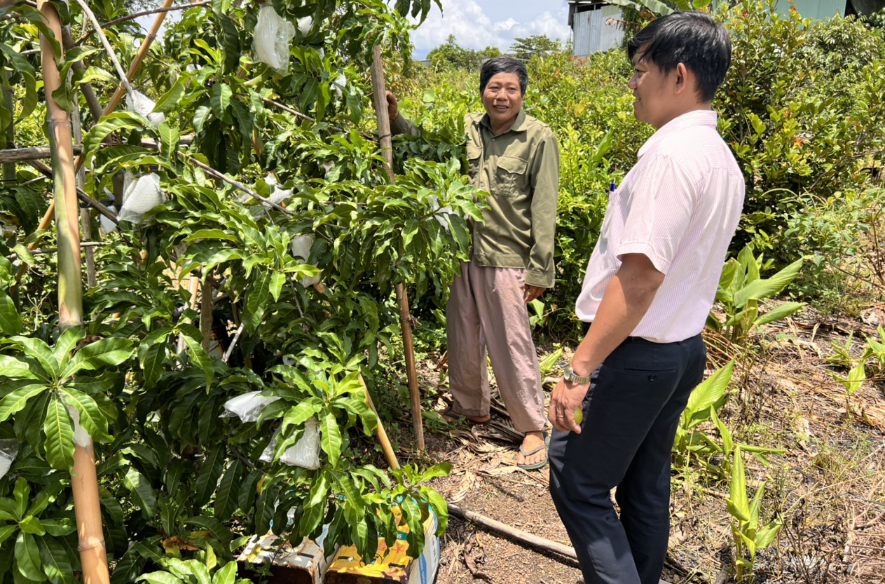 Tín dụng chính sách - Điểm tựa cho nhiều gia đình thoát nghèo bền vững