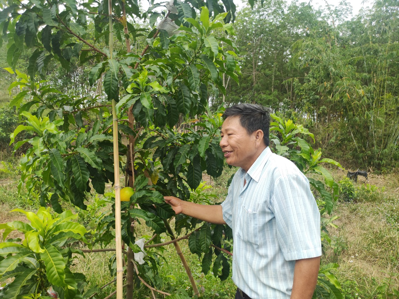 Chủ tịch Hội Nông dân huyện thực hiện kiểm tra, giám sát nguồn vốn tín dụng ưu đãi tại xã Tân Lợi